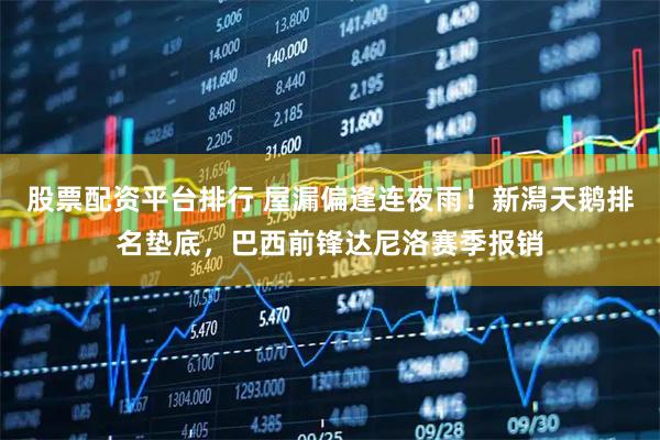 股票配资平台排行 屋漏偏逢连夜雨！新潟天鹅排名垫底，巴西前锋达尼洛赛季报销